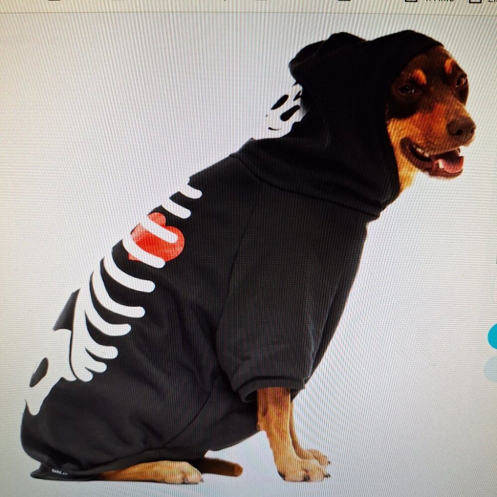 NWT Bark Skeleton Hoodie for Dogs S - Picture 5 of 6